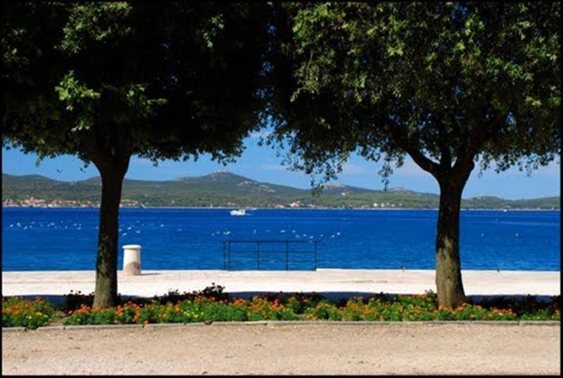 Guest Accommodation Neno Zadar Bagian luar foto
