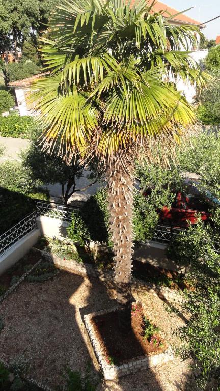 Guest Accommodation Neno Zadar Bagian luar foto